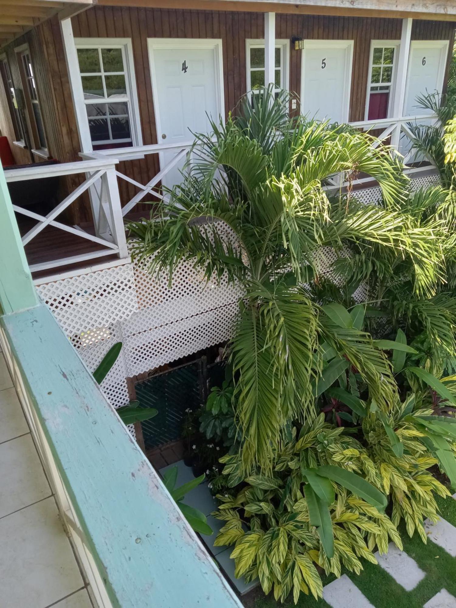 Apartment Unforgetable Gardens Falmouth Harbour Extérieur photo
