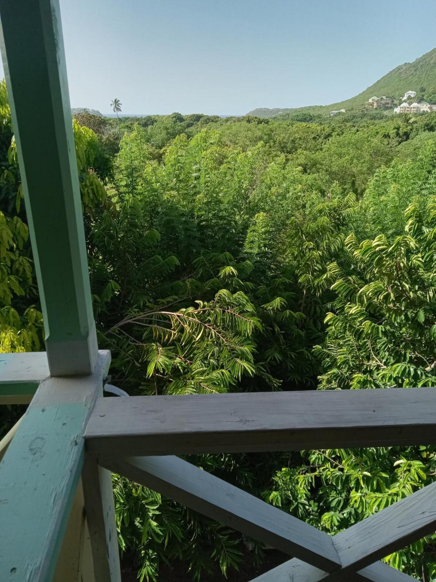 Apartment Unforgetable Gardens Falmouth Harbour Extérieur photo